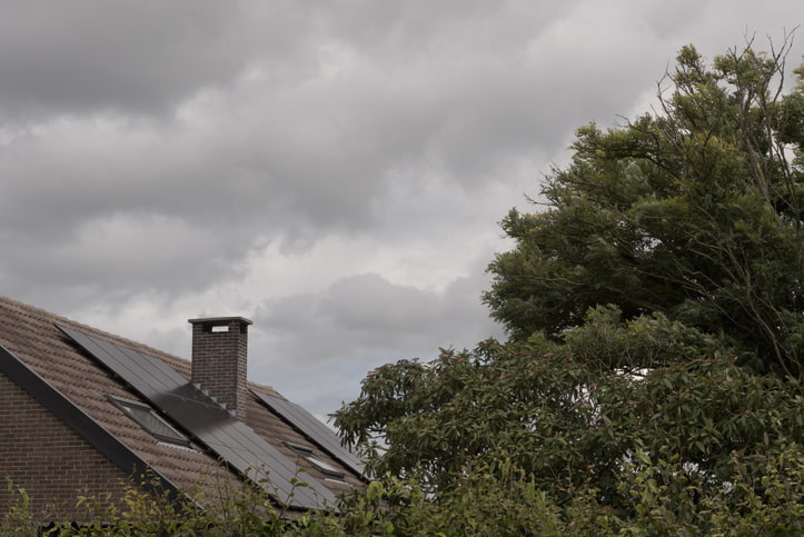Trees Near a house roof - Impacts of trees on roofs