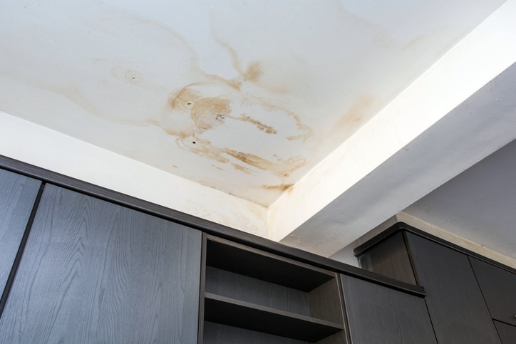 Water Stains on Ceilings - damaged roof repair